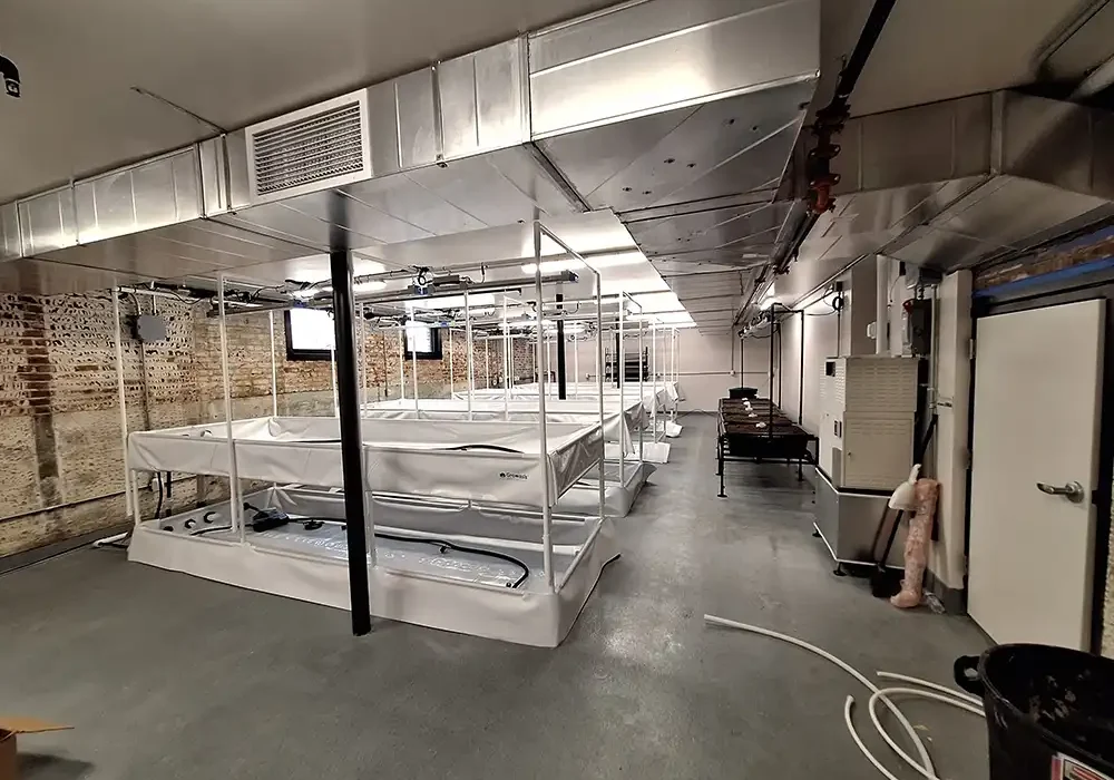 Westwood Redeemer Library & Community Amenities